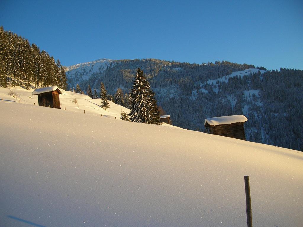 Haus Konrad Daire Reith im Alpbachtal Dış mekan fotoğraf